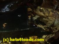 /home//u458753944/public_html/sourcegallery//McKaig Nature Center/2024-09-29/P9291596.JPG